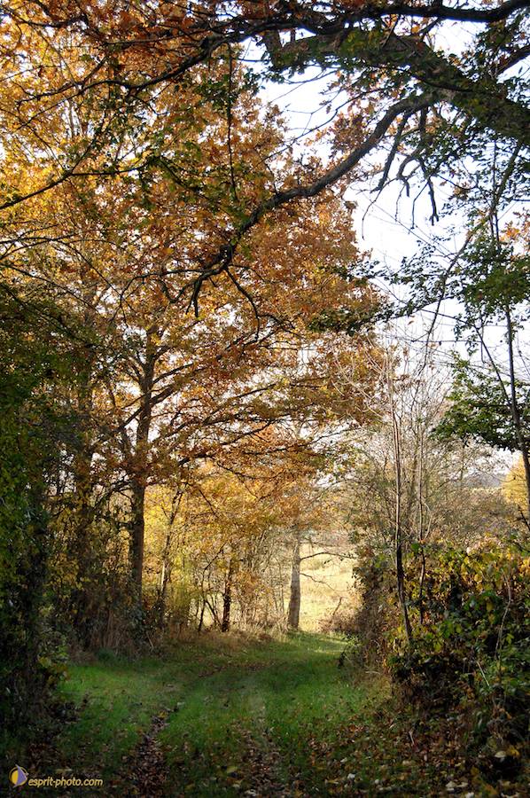 Nom de l'image : E2067736_1_(c)Norbert-JUNG — Description :